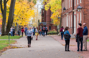 令人振奋的短信测压揭秘
